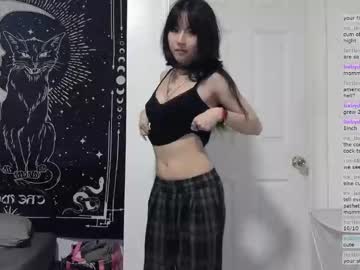 kitty krush